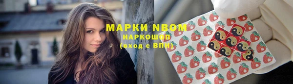 прущие грибы Ступино