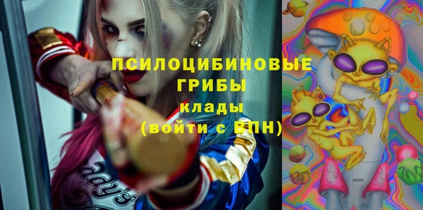 2c-b Балахна