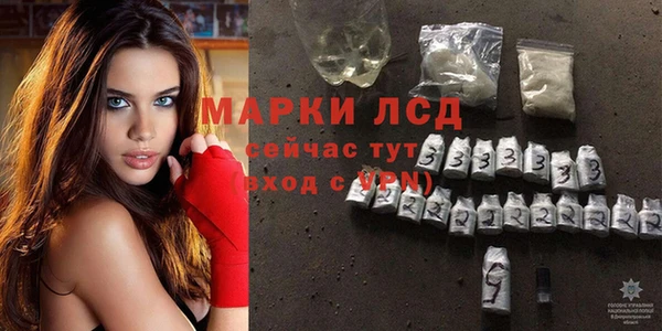 прущие грибы Ступино