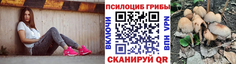 blacksprut сайт  Красноуфимск  Псилоцибиновые грибы Cubensis  где купить наркоту 